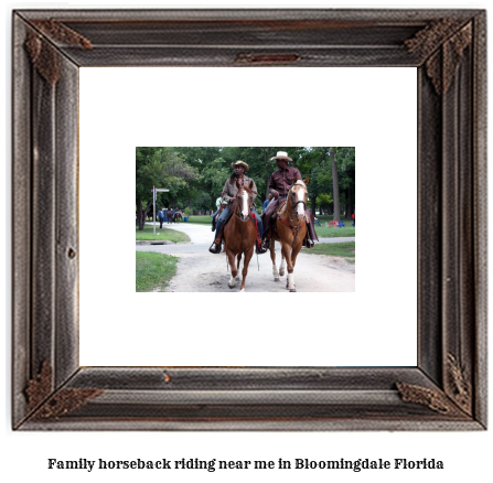 family horseback riding near me in Bloomingdale, Florida